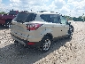 1FMCU9G90HU****** Salvamento y Destrozados 2017 Ford Escape en Estado de Wisconsin