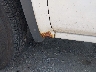 1GTN1TEC0FZ****** Repairable 2015 GMC Sierra 1500