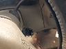 1FTRX17242N****** Salvamento 2002 Ford F-150 en Estado de Michigan