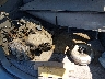JT6HF10U6Y0****** Used 2000 Lexus RX 300