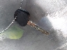 KMHD35LE9DU****** Salvage 2013 Hyundai Elantra in Ohio State