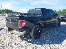 1FTRW12839F****** Salvage and Wrecked 2009 Ford F-150 in Florida State