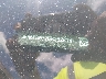 3FA6P0H77ER****** Wrecked 2014 Ford Fusion in New York State