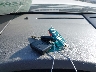 1FTPW14V17F****** Salvamento 2007 Ford F-150 en Estado de Iowa