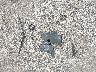 1FAFP53255A****** Wrecked 2005 Ford Taurus in Alabama State