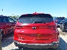 KNDPM3ACXN7****** Salvage 2022 Kia Sportage