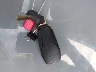 3FA6P0HR3DR****** Salvamento 2013 Ford Fusion en Estado de Florida