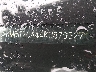 KM8J2CA44KU****** Salvage and Wrecked 2019 Hyundai Tucson in Washington State