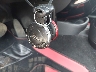 WMWZB3C58EW****** Salvage 2014 MINI Cooper Countryman in Maryland State