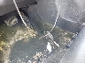 1C4NJDEB7GD****** Salvage 2016 Jeep Compass in Pennsylvania State