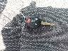 3N1CN7AP2KL****** Salvage 2019 Nissan Versa in Texas State