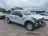 1FTEW1EP1MK****** Salvamento y Destrozados 2021 Ford F-150 en Tampa North