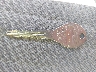1N6DD21S1WC****** Salvage 1998 Nissan Frontier in Illinois State