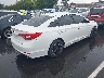 5NPE24AF1GH****** Salvamento y Destrozados 2016 Hyundai Sonata en Estado de Tennessee