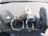 JTEBU14R678****** Salvage 2007 Toyota 4Runner in Oklahoma State