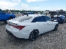 KMHLR4AF9PU****** Salvage and Wrecked 2023 Hyundai Elantra in Florida State
