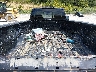 1N6AA1RP2HN****** Wrecked 2017 Nissan Titan in Ashland