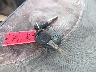 1GTHK29K48E****** Salvage 2008 GMC Sierra 2500HD in Tennessee State