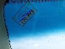 1HGCP2F36BA****** Wrecked 2011 Honda Accord in New Jersey State