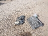 JTDKDTB31D1****** Wrecked 2013 Toyota Prius C in California State