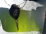 JTMZD33V275****** Salvage 2007 Toyota RAV4 in California State