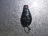 2C4RDGCG5CR****** Salvamento 2012 Dodge Grand Caravan en Estado de Indiana