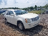 1GYEE437880****** Salvage and Wrecked 2008 Cadillac SRX in Greenville