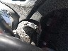 2CTFLEEYXA6****** Salvamento 2010 GMC Terrain en Estado de Colorado