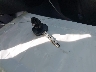 JTDJT903595****** Salvage 2009 Toyota Yaris in California State