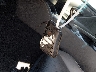 58ADA1C1XRU****** Salvage 2024 Lexus ES in California State