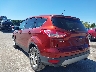 1FMCU0GX9EU****** Salvamento y Reparables 2014 Ford Escape en Cleveland