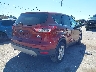 1FMCU0GX9EU****** Salvamento y Destrozados 2014 Ford Escape en Estado de Ohio