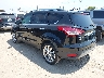1FMCU0GX9FU****** Salvamento y Reparables 2015 Ford Escape en San Antonio South