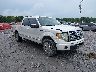 1FTFW1CTXBF****** Salvage and Wrecked 2011 Ford F-150 in Pensacola