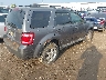 1FMCU9DG2AK****** Salvage and Wrecked 2010 Ford Escape in Illinois State