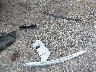 WBXHU7C33J5****** Destrozados 2018 BMW X1 en Estado de Florida