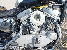 1HD4CJM443K****** Wrecked 2003 Harley-Davidson Sportster 883 Custom in Rec Rides Online Exclusive