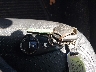 JF2SHAGC8DH****** Salvamento 2013 Subaru Forester en Estado de Carolina del Sur
