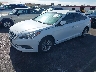 5NPE24AF6HH****** Usados y Reparables 2017 Hyundai Sonata en Las Vegas
