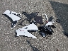 SMTL23UF4ST****** Wrecked 2025 Triumph Daytona in North Carolina State