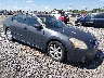 1N4BA41E77C****** Salvamento y Destrozados 2007 Nissan Maxima en Savannah