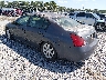 1N4BA41E77C****** Salvamento y Reparables 2007 Nissan Maxima en Savannah