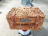 ZAPM818G0P5****** Destrozados 2023 Vespa Primavera/sprint