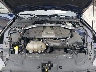 1FA6P8CFXK5****** Repairable 2019 Ford Mustang in Tampa North