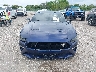 1FA6P8CFXK5****** Wrecked 2019 Ford Mustang in Florida State