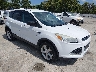 1FMCU0GX8EU****** Salvage and Wrecked 2014 Ford Escape in Saint Louis