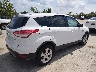 1FMCU0GX8EU****** Salvage and Wrecked 2014 Ford Escape in Illinois State