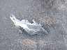 4T1BF1FK6EU****** Wrecked 2014 Toyota Camry in North Carolina State