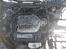 1HGCM82677A****** Reparables 2007 Honda Accord en Charleston