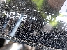 ML5EXGG17SD****** Repairable 2025 Kawasaki EX500 in Kansas State